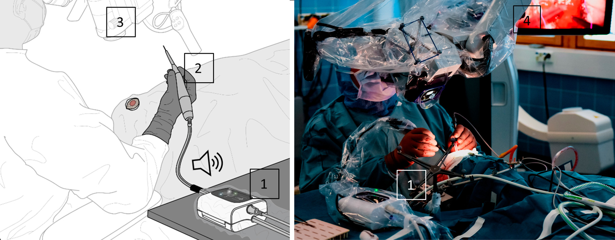 Figure 1 NOA Elomaa 2025