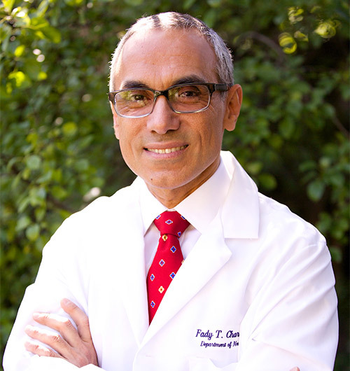 Professor Dr. Fady T. Charbel